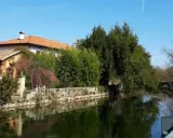 Splendide passeggiate vicino Milano, con un canale tranquillo, alberi fioriti e un sentiero per godersi la natura.