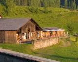 Malghe Alto Adige immerse nel verde, con rustici in legno e tavoli all'aperto sotto ombrelloni bianchi. Un'oasi di pace tra i boschi.