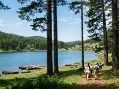 Un gruppo di escursionisti cammina lungo un sentiero alberato che porta al lago della Sila, con barche ormeggiate sulla riva.