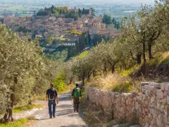 Two hikers walk on a path through olive groves towards a medieval Italian town on a hill.