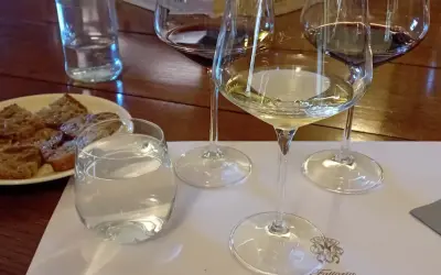 Calici di vino bianco e rosso, pane tostato e acqua per una degustazione vini Bolgheri.