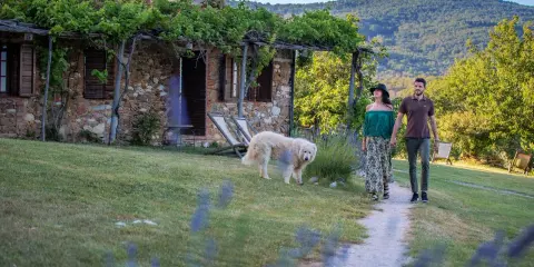 Coppia passeggia con cane in un casale in pietra, tra viti e colline. Sassetta cosa vedere: un luogo da sogno.