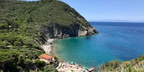 Una baia incantevole all'isola d'Elba, con acque cristalline, una spiaggia di ciottoli e case colorate immerse nel verde.
