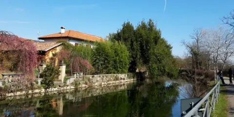 Splendide passeggiate vicino Milano, con un canale tranquillo, alberi fioriti e un sentiero per godersi la natura.