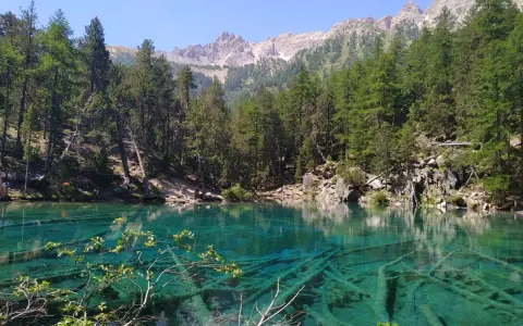 Un incantevole lago vicino Torino, con acque cristalline che rivelano tronchi sommersi. Le montagne e i pini creano uno scenario alpino mozzafiato.