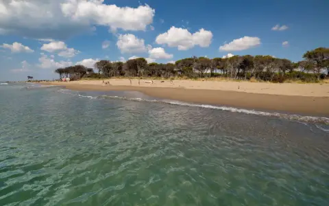 Spiaggia dorata e pineta rigogliosa bagnate da un mare cristallino toscana. Nuvole bianche nel cielo azzurro.