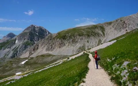 Escursionista sul cammino del Gran Sasso, tra prati verdi e fiori viola, con imponenti montagne sullo sfondo.