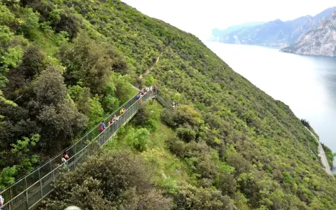 Sentiero panoramico con passerella in Trentino, ideale per passeggiate facili con vista lago.
