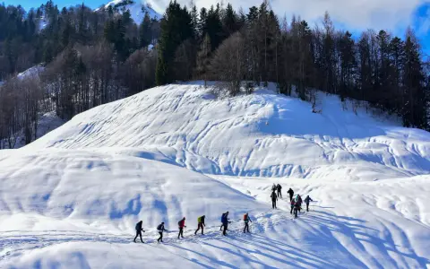 Un gruppo di escursionisti fa **passeggiate sulla neve** in un paesaggio montano innevato, con alberi scuri sullo sfondo.