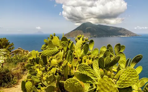 Fico d'India rigoglioso domina la scena, con il mare blu e un vulcano sullo sfondo, un'immagine perfetta per le vacanze isole della Sicilia.