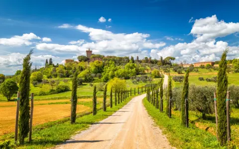 Strada sterrata tra cipressi e ulivi, con un borgo in collina. Perfetto per scoprire cosa visitare in Toscana in 1 giorno.
