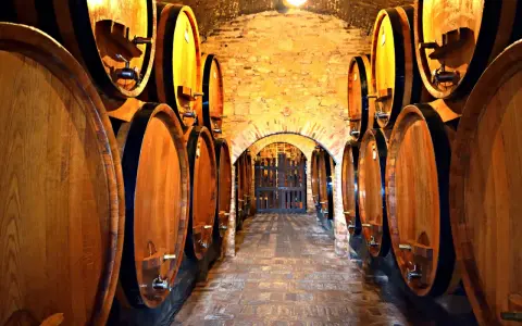 Corridoio di una cantina con botti di legno, un luogo ideale per scoprire le migliori cantine nel Chianti.