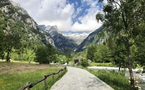 Sentiero in Val Masino, tra prati fioriti e montagne imponenti. Cosa vedere? Natura incontaminata e panorami mozzafiato.