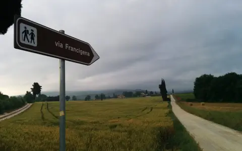 Segnale della Via Francigena indica il cammino attraverso campi dorati e un viale di cipressi sotto un cielo nuvoloso.