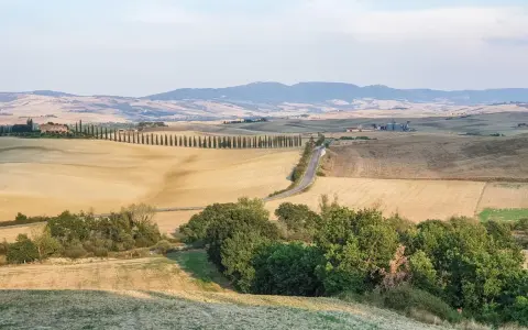 Colline dorate e cipressi iconici nel Val d'Orcia, con un borgo in lontananza. Un paesaggio da cartolina.