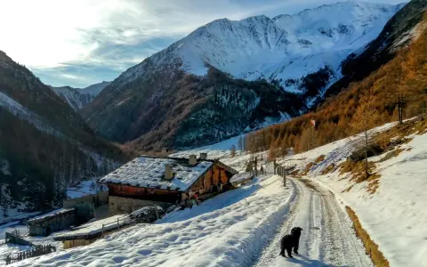 Un cane nero cammina su una strada innevata in Val di Fosse, vicino a un rifugio alpino con tetto coperto di neve. Montagne imponenti sullo sfondo.