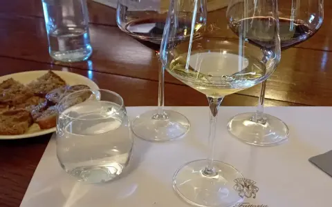 Calici di vino bianco e rosso, pane tostato e acqua per una degustazione vini Bolgheri.