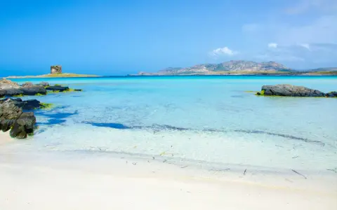 Spiagge Alghero e dintorni: torre antica su isolotto, acque cristalline e sabbia bianca. Un paradiso sardo.