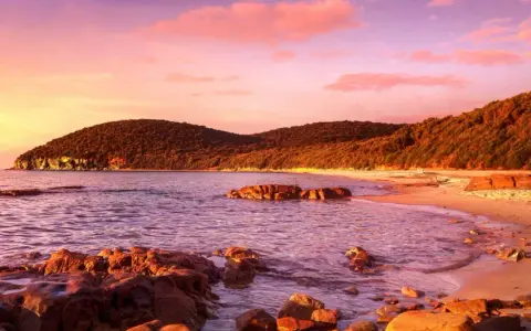 Tramonto infuocato sulla costa, con colline boscose e rocce che emergono dal mare. Un luogo magico da scoprire, la punta ala cosa vedere.