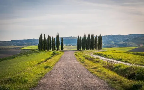 Strada sterrata tra colline verdi e cipressi, ideale per un itinerario borghi toscana 3 giorni.