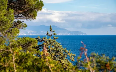 Verdeggiante vegetazione mediterranea incornicia un mare blu intenso, con una sagoma montuosa all'orizzonte, forse un'isola vicino all'Elba.