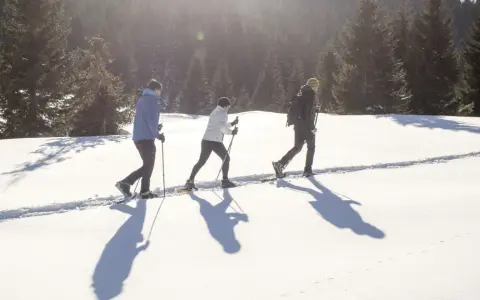 Tre persone camminano con le ciaspole su un sentiero innevato, godendosi le escursioni invernali in Trentino.
