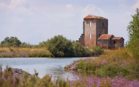 Rovine di un antico casale tra canneti e fiori viola, un paesaggio suggestivo che ricorda i paesi belli vicino a Ferrara.