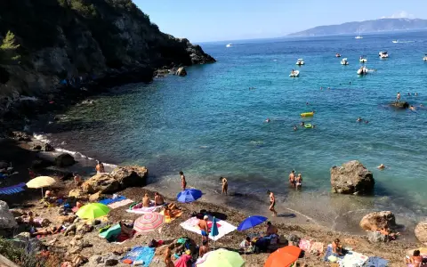 Spiaggia affollata con ombrelloni colorati e gente che nuota. Ecco come arrivare a Cala del Gesso per godersi questo mare cristallino.