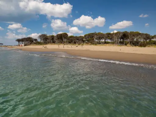 Spiaggia dorata e pineta rigogliosa bagnate da un mare cristallino toscana. Nuvole bianche nel cielo azzurro.