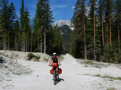 Ciclista su strada sterrata tra i pini, con le vette delle Dolomiti sullo sfondo. Un'avventura sui percorsi bici Dolomiti.