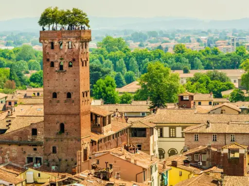 Torre Guinigi con alberi in cima, un'icona di Lucca. Perfetta per scoprire cosa vedere a Lucca in 2 giorni, con vista sui tetti e il verde della città.