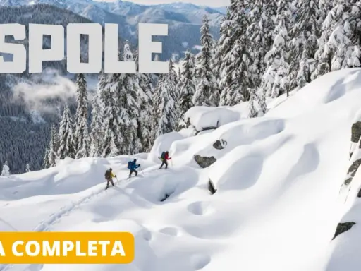 Tre escursionisti affrontano una ciaspolata sulla neve in un paesaggio montano innevato, con alberi coperti di bianco e cime sullo sfondo.