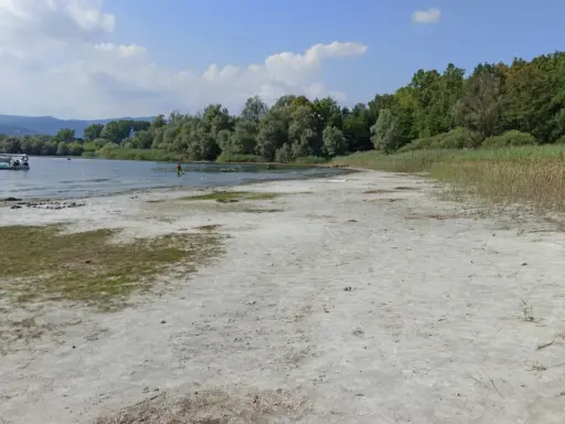 Spiaggia sabbiosa al lido di Lisanza, con barche a vela e persone che nuotano in un lago circondato da alberi.