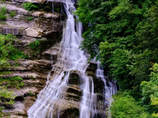 Cascate del Casentino: un velo d'acqua scende su rocce stratificate, circondato da una lussureggiante vegetazione verde.