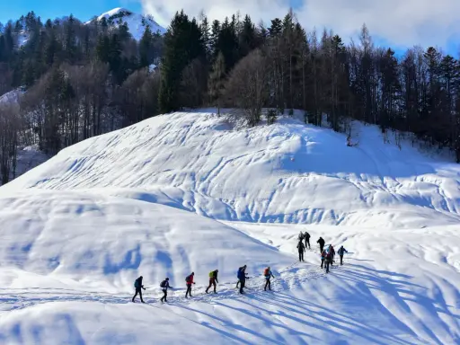 Un gruppo di escursionisti fa **passeggiate sulla neve** in un paesaggio montano innevato, con alberi scuri sullo sfondo.