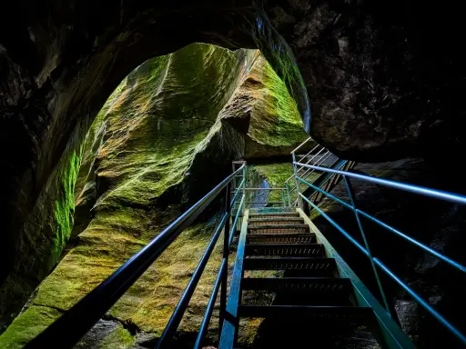 Una scala metallica sale tra le rocce muschiose degli orridi di Uriezzo, illuminata da una luce che filtra dall'alto.