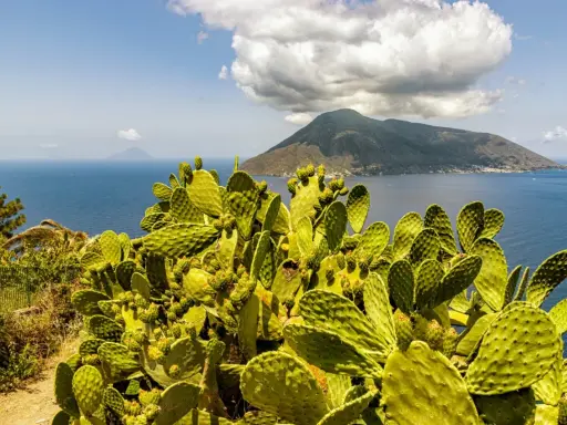 Fico d'India rigoglioso domina la scena, con il mare blu e un vulcano sullo sfondo, un'immagine perfetta per le vacanze isole della Sicilia.