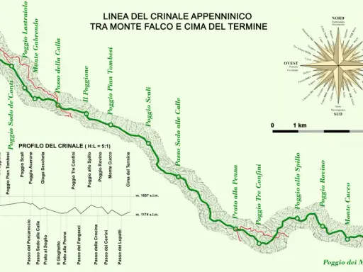 Sentiero sul crinale degli Appennini Emilia Romagna, da Monte Falco a Cima del Termine, con profilo altimetrico e rosa dei venti.