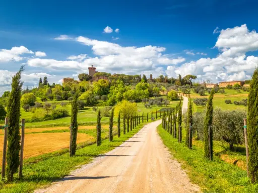 Strada sterrata tra cipressi e ulivi, con un borgo in collina. Perfetto per scoprire cosa visitare in Toscana in 1 giorno.