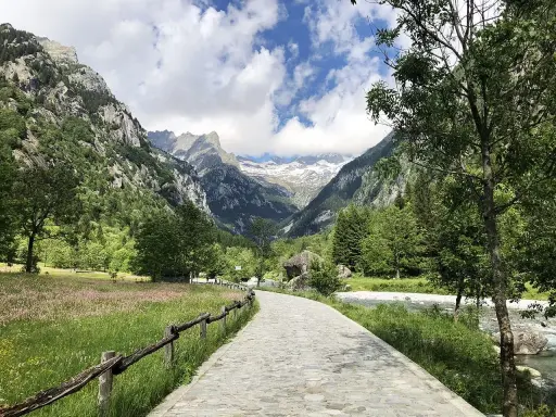 Sentiero in Val Masino, tra prati fioriti e montagne imponenti. Cosa vedere? Natura incontaminata e panorami mozzafiato.