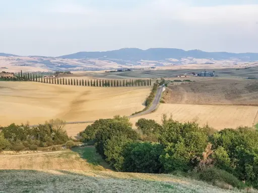 Colline dorate e cipressi iconici nel Val d'Orcia, con un borgo in lontananza. Un paesaggio da cartolina.