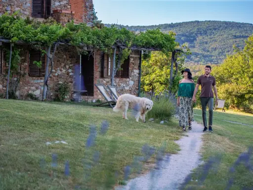Coppia passeggia con cane in un casale in pietra, tra viti e colline. Sassetta cosa vedere: un luogo da sogno.
