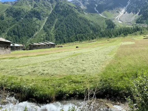 Case in pietra nel **Val di Rezzalo**, prati falciati e un ruscello che scorre ai piedi di montagne verdi e rocciose.