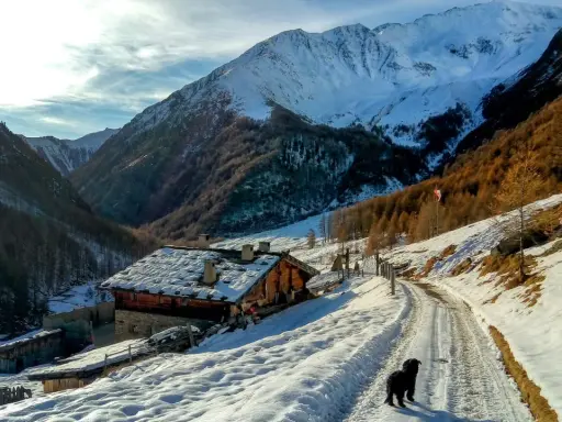 Un cane nero cammina su una strada innevata in Val di Fosse, vicino a un rifugio alpino con tetto coperto di neve. Montagne imponenti sullo sfondo.