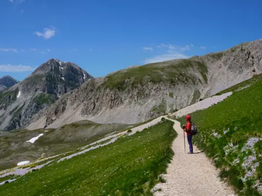 Una persona con zaino e bastoncini da trekking percorre un sentiero fiorito durante un'escursione sul Gran Sasso, con montagne imponenti sullo sfondo.