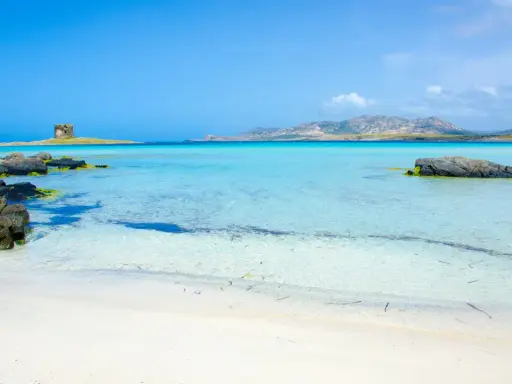 Spiagge Alghero e dintorni: torre antica su isolotto, acque cristalline e sabbia bianca. Un paradiso sardo.