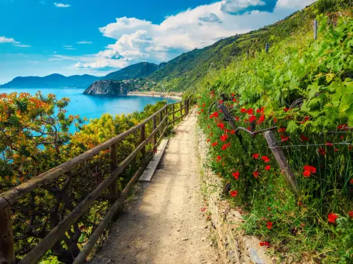 Sentiero fiorito con papaveri rossi e vista sul mare, ideale per un'escursione alle Cinque Terre.