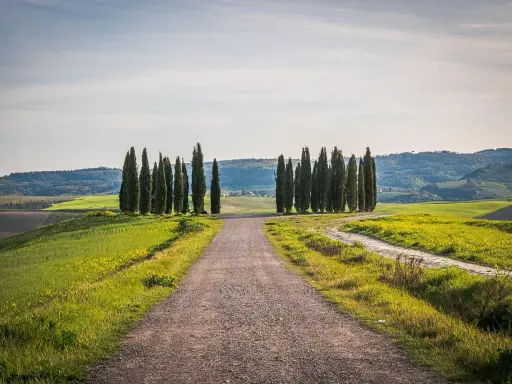 Strada sterrata tra colline verdi e cipressi, ideale per un itinerario borghi toscana 3 giorni.