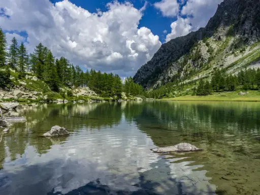 Specchio d'acqua cristallino tra i **laghi della Valle d'Aosta**, circondato da pini e rocce, con montagne imponenti e cielo azzurro con nuvole bianche.
