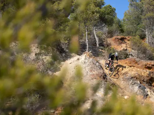 Ciclista su un sentiero sterrato, tra rocce e pini, esplora i percorsi MTB Toscana.